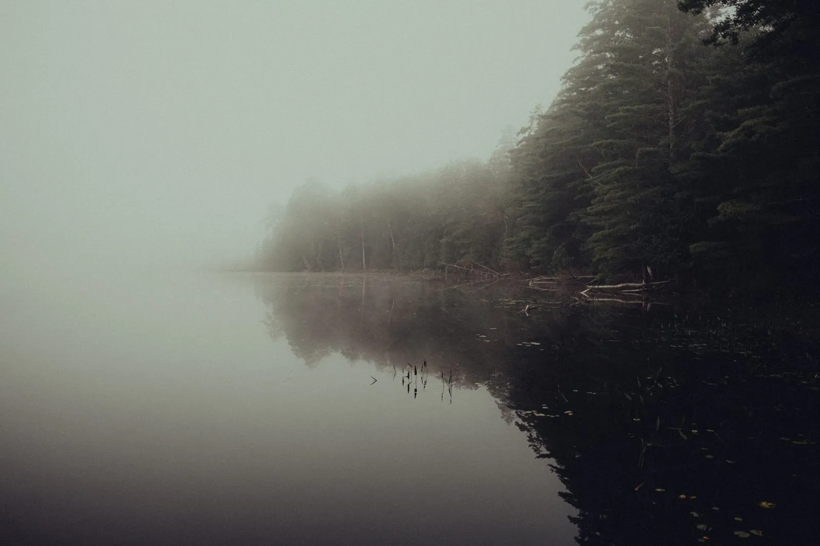 Ruhiger Bergsee im Morgennebel als Sinnbild fuer Regeneration und Balance